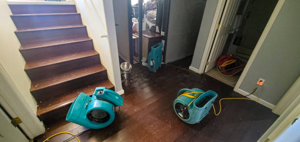 Trusted Jean Lafitte, LA Water damage restoration Experts