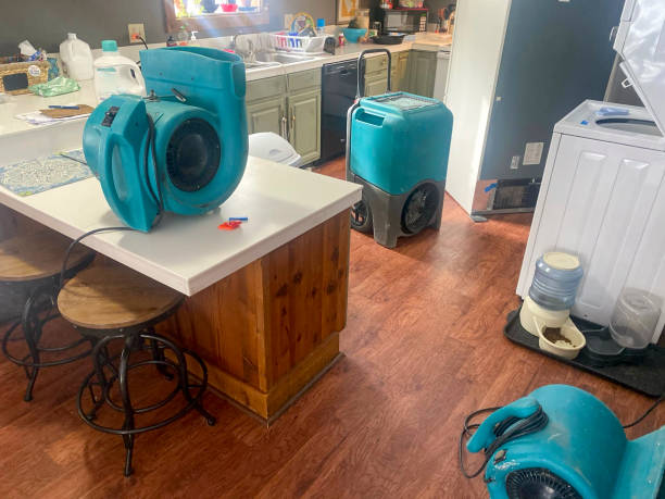 Best 24/7 water damage repair  in Jean Fitte, LA