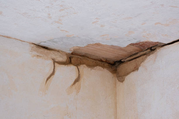 Best Mold removal after water damage  in Jean Fitte, LA