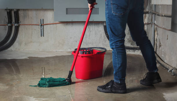 Best Water damage contractors near me  in Jean Fitte, LA