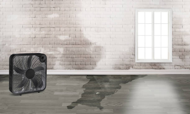 Best Water damage restoration cost  in Jean Fitte, LA