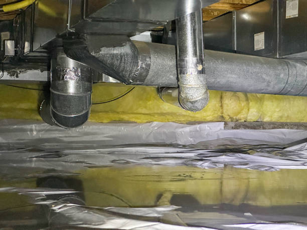 Best Water damage restoration specialists  in Jean Fitte, LA