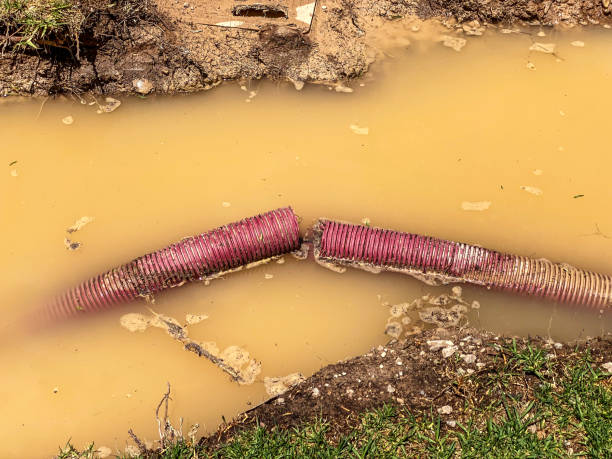 Sewage cleanup and water damage restoration in Jean Lafitte, LA